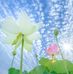 Tami Ali - Facebook