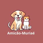 Amicão Muriaé-MG 🇧🇷Voluntários#Brasil - @amicaomuriae - Instagram