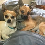Tami Anthony - Facebook