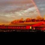 Tami Austin - @hiddenfoxfarm - Instagram