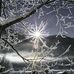 Tami Ayres - Facebook