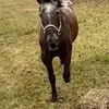 tamiballard23 - @tami.ballard - TikTok