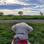 Tami Barker - @barkertami - Instagram