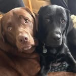 Tami Barlow - @tamibarlow17 - Instagram