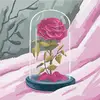 Tami Barone - @tami.barone - TikTok