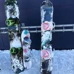 Tamara Bauer - @tami_bauer - Instagram