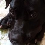 Tami Bauer - @tamibauer1 - Instagram