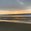 Tamir Baum - @tamirbaum - TikTok
