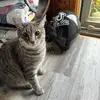 Tammy Beal - @tammybeal420 - TikTok