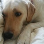 Tami Beasley - @beasley.tami - Instagram