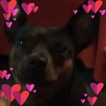 Tami Benjamin - @tami.simms.169 - Instagram