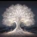 Tami Benoit - Facebook