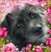 Tami Benson - Facebook