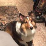 Tami Benton - @bentontami - Instagram