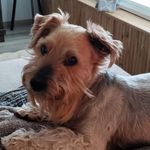 Tami Berg - @oklahoma65 - Instagram