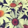 tamiberg2 - @tami.berg5 - TikTok