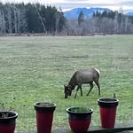 Tami Beyer - @tamijean1966 - Instagram