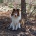 Tami Bier - Facebook