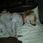 tami blackwell - @tvblackwell53 - Instagram