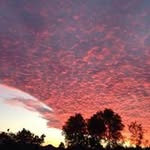 Tami - @tami_blue_1978 - Instagram