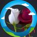 JIbone Prothom Tumi - Facebook