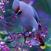 Tami Booker - Facebook