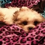 Tami Bork - @tamibork - Instagram