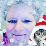 Tammy G Boswell - @tgh.boswell - Instagram