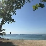 Tammy Boudreau - @tammy_boudreau123 - Instagram