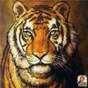Tammy Bourque - @tammy.bourque5 - TikTok