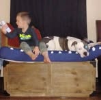Tammy Bowden - Facebook