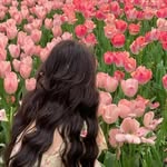 Tami Bowen - @ptw13knlox - Instagram