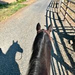 Tami Bowman - @cantw82ride - Instagram