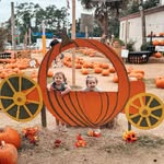 T Forbush Boyett - @tami.boyett - Instagram