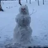 tamubracken - @tamubracken - TikTok