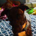 tami bradley - @tamibradley4180 - Instagram