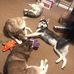 Tami Braun - Facebook