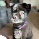 Tami Braun - @t__braun - Instagram