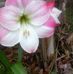 Tami Bray - Facebook