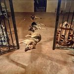 Tami Brooks - @tami.brooks2 - Instagram