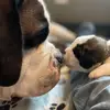 Tami Brooks - @brooks911.0 - TikTok