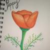 tamibrooks279 - @tamibrooks279 - TikTok