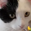 tamibrost - @tamibrost - TikTok