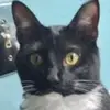 tamibryant7385 - @tamibryant7385 - TikTok