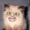 Tammie Burch295 - @tammieburch295 - TikTok