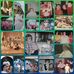 Tami Byrd - Facebook