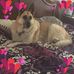 Tami Carpenter - Facebook