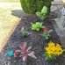 Tami Carpenter - Facebook