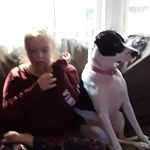 Tami Carroll Hinkle - @tamicarrollhinkle - Instagram