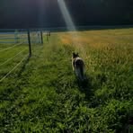 Tami Carver - Facebook